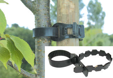 Bridas de sujecion para arboles Bridas de sujecion para arboles