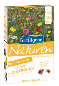 Flores para atraer las mariquitas - Cuidados de plantas, tratamientos