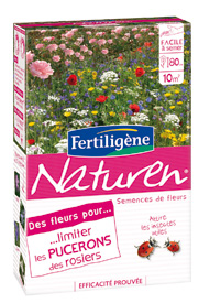 Flores para limitar los pulgones de los rosales - Cuidados de plantas, tratamientos