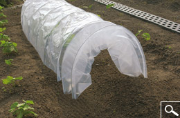 Easy tunnel - T�nel acorde�n