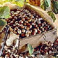 Avellano