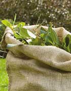 Saco natural en lona de yute - Saco 100% natural por desperdicios verdes