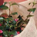Protecci�n en tela de yute - Naturesac