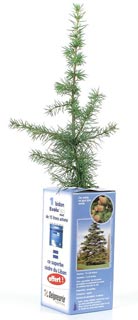 Estuche regalo est�ndar