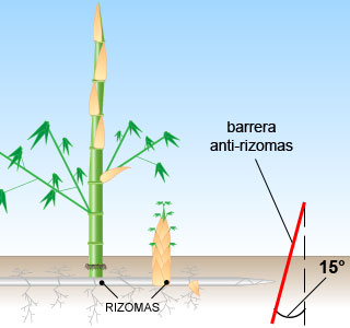 Barri�re anti-rhizome