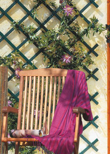 Celos�a Pl�stico Extensible Mural 100 x 300 cm