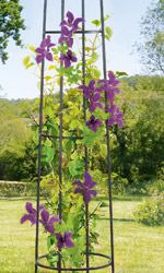 Columna 4 pies en metal 200 cm