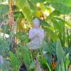 Estatua de Jardn Zen Buda - Altura 60 cm