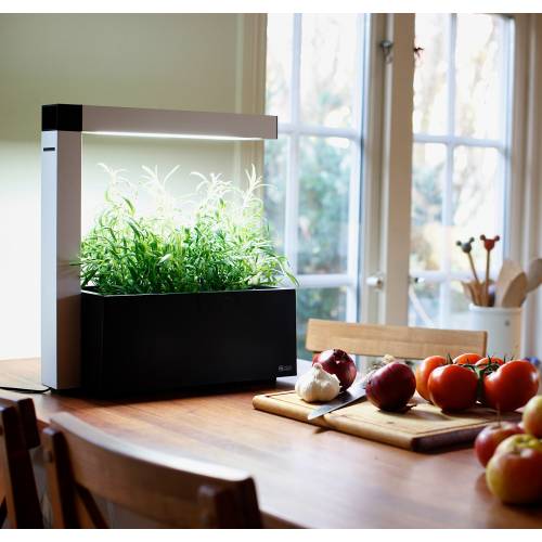 Jardinera Hidropónica - Herbie Negro - Tregren : venta Jardinera