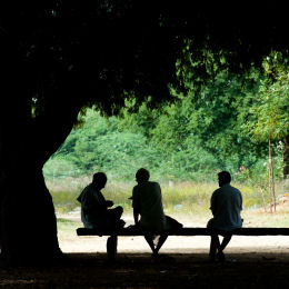 arboles-de-sombra