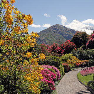 jardines-en-zona-de-montana