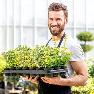 nuevas-plantas-en-el-vivero-arboles-arbustos