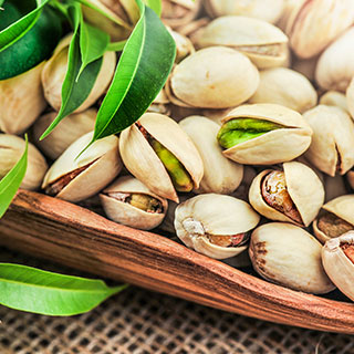 pistachos-pistacea