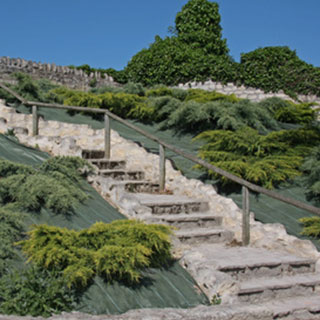 plantas-tapizantes-rastreras-cubresuelos