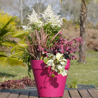 que-plantas-de-primavera-para-el-balcon