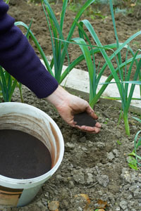 Alimentar sus plantas sur mesure