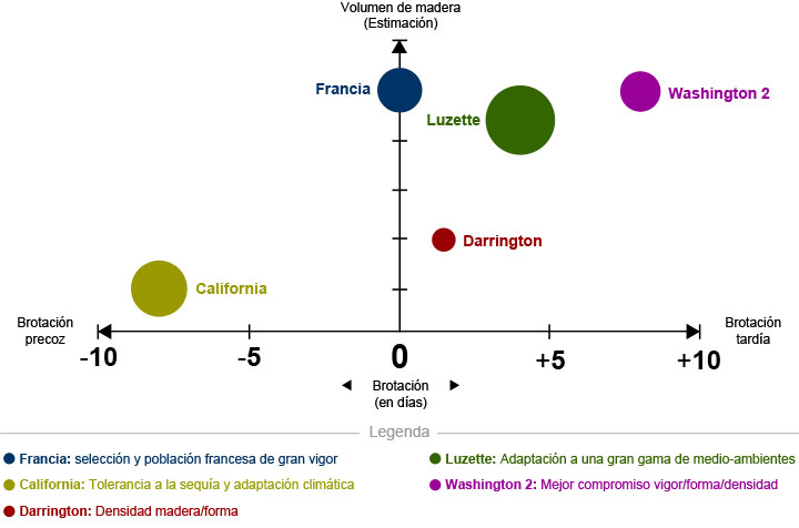 Mejora Gentica del Douglas