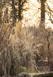 Un jardn atractivo en invierno