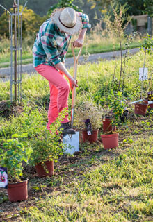 Pruebe el jardn natural