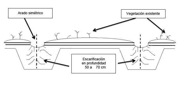 Labranza forestal en el macizo de las Landas de Gascua