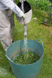 Las maceraciones: preparaciones naturales