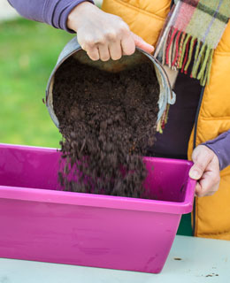 Limpie sus macetas y jardineras