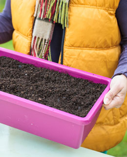 Limpie sus macetas y jardineras