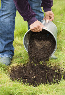 Plantacin de un rbol frutal