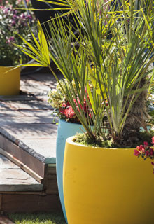 Proteger las plantas en maceta del fro