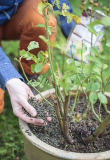 Macetas y jardineras en versin ecolgica