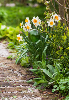 Tener bonitos bordillos en el jardn