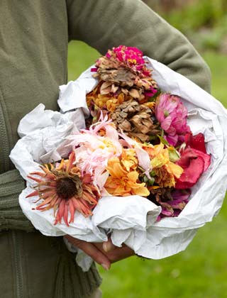 Poda de las plantas con flores