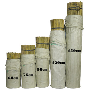 Tutores de bamb� natural