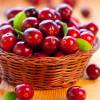 Arandano rojo, Cranberry