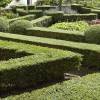 Boj com�n