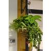 Jardinera de interior 'Indoor Jungle'