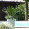 Jardinera de primavera 'Spring Blue Lady'