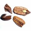 Nuez de pecan, Pacano