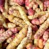 Oca de Per