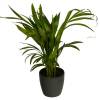 Areca + Cubremaceta Antracita