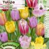 Tulipn Encajes en mezcla