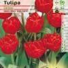 Tulipn doble precoz 'Carlton'