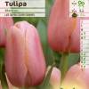 Tulipn tardo 'Menton'