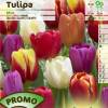 Tulipn triunfo en mezcla