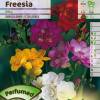 Freesia doble en mezcla