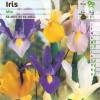 Iris de Holanda en mezcla