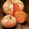 Calabaza 'galeuse d'Eysines'