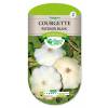 Calabacn pattypan blanca