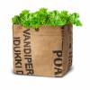 Kit de Plantacin Lechuga Bio - Bowl Green