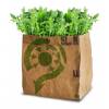 Kit de Plantacin Lechuga Bio - Rcula